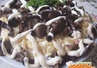 Салат "Грибное кольцо"