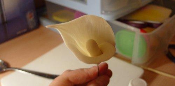 Шаг №10 МК Калла от Учредительница