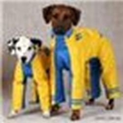 Аватар пользователя Nika