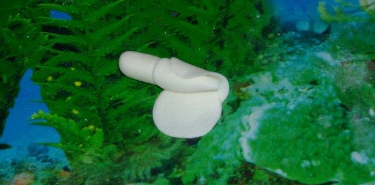 Шаг №6 МК Корзинка с розочками от Annula