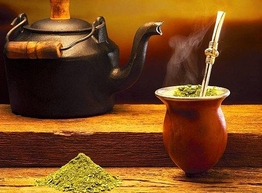 Статья: Что бодрит лучше - кофе или волшебный кустарник Мате?