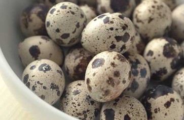 Статья: Перепелиные яйца - как выбрать и как хранить
