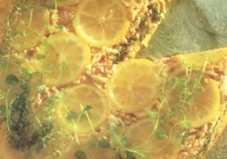 Рецепт: Флэн из тунца и шпината