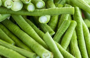 Подарок природы: зеленая фасоль