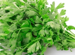 Статья: Ещё раз о пользе петрушки
