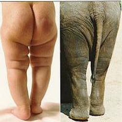 Аватар пользователя svet32lana