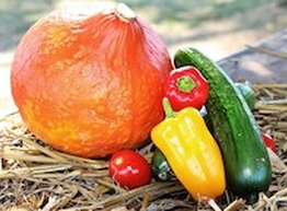 Статья: Хотите похудеть? Выбирайте диету по цвету!