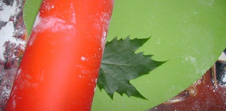 Шаг №2 МК Листочки от Annula