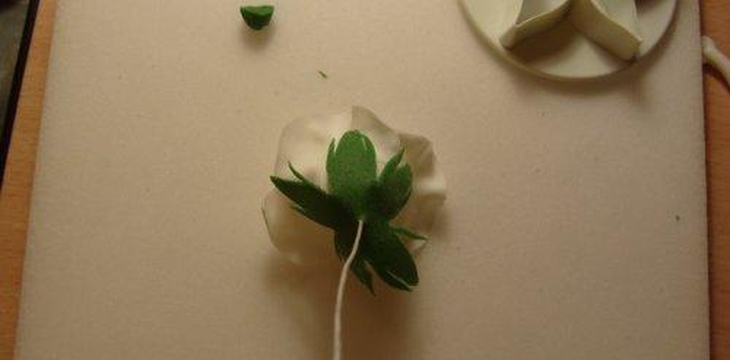 Шаг №26 МК Роза на проволоке от Учредительница