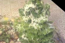 Шаг 6: Примечание: Этот вкуснейший салат можно …