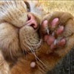 Аватар пользователя Kofeirina