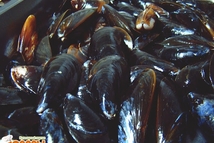 Шаг 1: В форму для духовки наливаем …