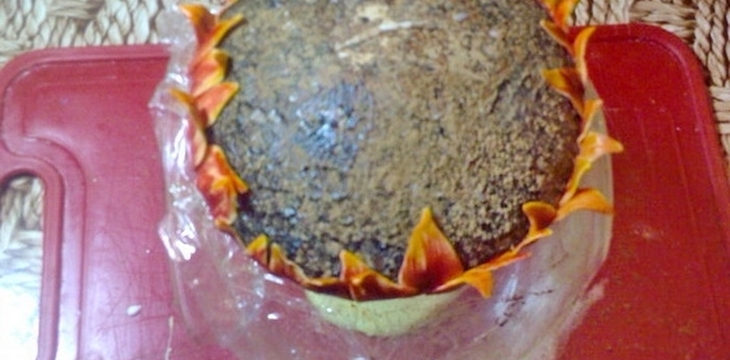 Шаг №34 МК Торт Фея на подсолнухе от alizka