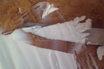 Шаг 7: Сверху посыпать дробленым миндалем. Для …