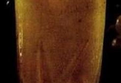 Соленый напиток из йогурта (Намкин ласси)