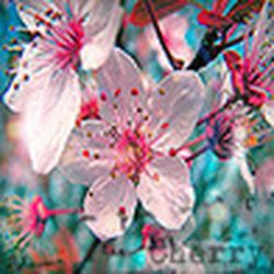 Аватар пользователя Alizet