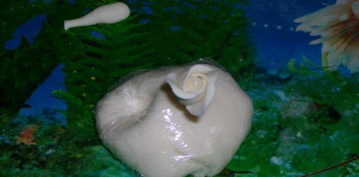 Шаг №11 МК Корзинка с розочками от Annula