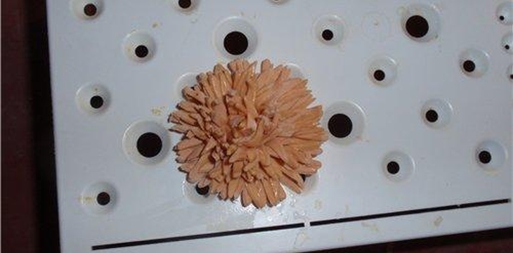 Шаг №7 МК по астрам-хризантемам от TaninTortik