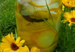 Рецепт: Кабачки, маринованные кольцами