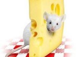 Статья: Сырные секреты