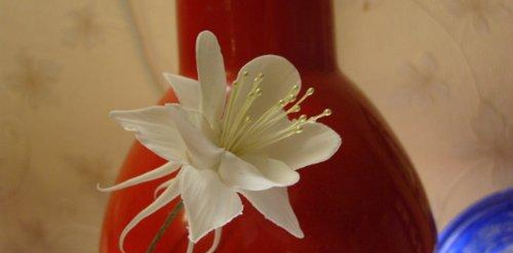 Шаг №28 МК Аквилегия от Учредительница