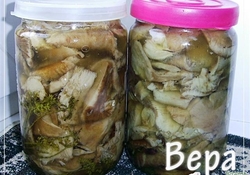 Рецепт: Соленые грибы