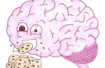 Статья: Питательная зарядка для мозгов