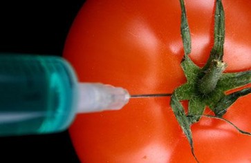 Статья: Помидор и СПИД
