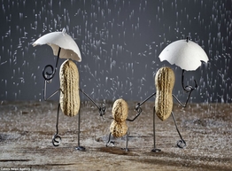 Статья: «Оживший» арахис