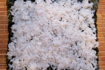 Шаг 4: Лист нори помещаем на циновку …