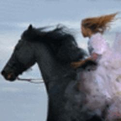 Аватар пользователя jetty