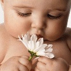 Аватар пользователя lali