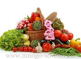 17 продуктов, которые борются против рака молочной железы