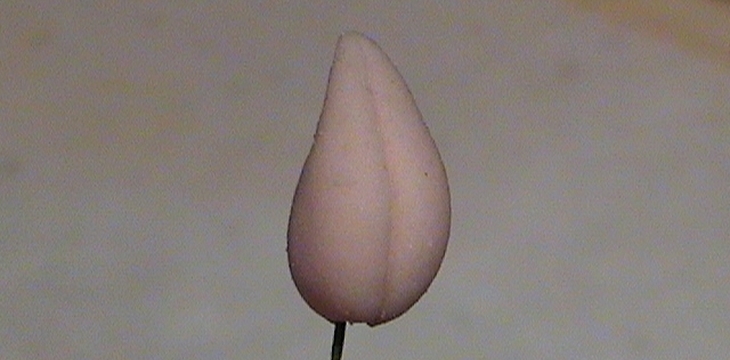 Шаг №2 МК Горошек от Sladost