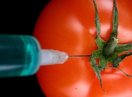 Статья: Помидор и СПИД