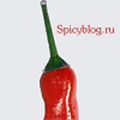 spicy_blog