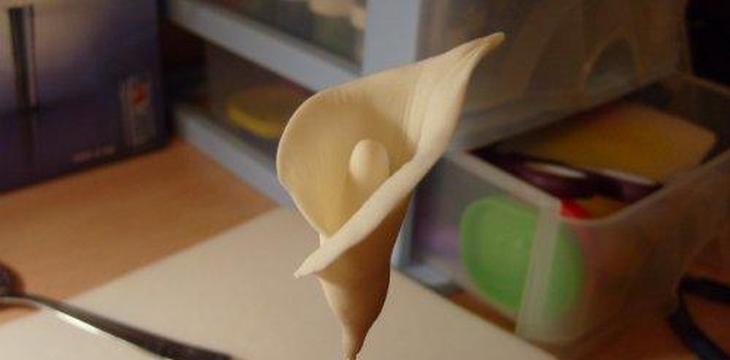 Шаг №9 МК Калла от Учредительница