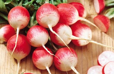 Статья: Редис - ранний, вкусный, полезный 