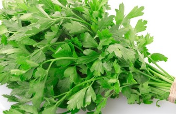 Статья: Ещё раз о пользе петрушки