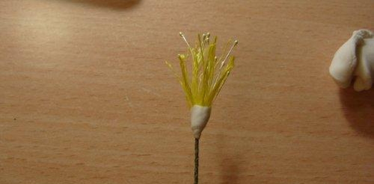 Шаг №6 МК Аквилегия от Учредительница