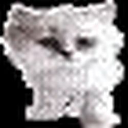 Аватар пользователя Kitya