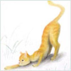 Аватар пользователя Flyge