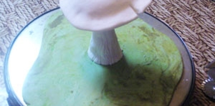 Шаг №3 МК Мухоморчик от alizka