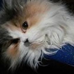 Аватар пользователя БуринА