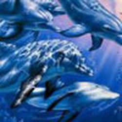 Аватар пользователя Vilija