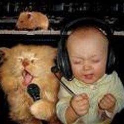 Аватар пользователя Toropyga