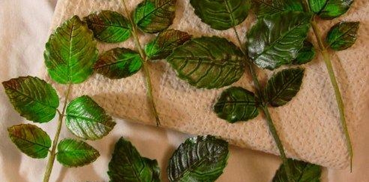 Шаг №9 МК Листья розы на проволоке от Учредительница