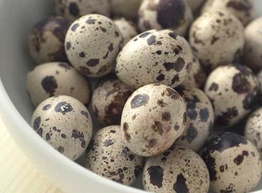 Статья: Перепелиные яйца - как выбрать и как хранить