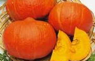 Целебные свойства и польза тыквы