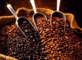 Арабика и Робуста - в чем разница?